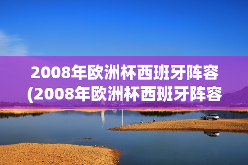 2008年欧洲杯西班牙阵容(2008年欧洲杯西班牙阵容图)