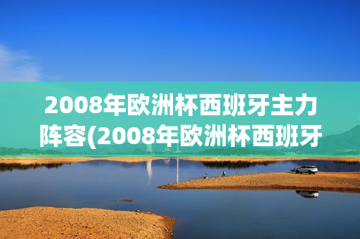 2008年欧洲杯西班牙主力阵容(2008年欧洲杯西班牙主力阵容是谁)