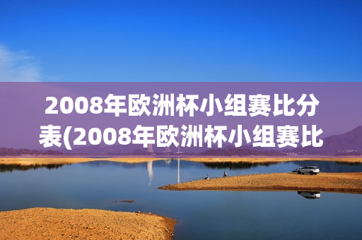 2008年欧洲杯小组赛比分表(2008年欧洲杯小组赛比分表格)