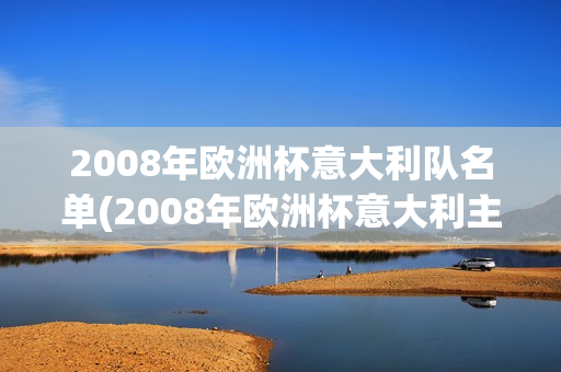 2008年欧洲杯意大利队名单(2008年欧洲杯意大利主力阵容)