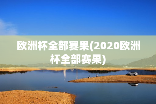 欧洲杯全部赛果(2020欧洲杯全部赛果)