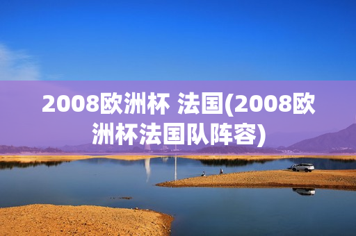 2008欧洲杯 法国(2008欧洲杯法国队阵容)