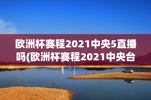 欧洲杯赛程2021中央5直播吗(欧洲杯赛程2021中央台直播吗)