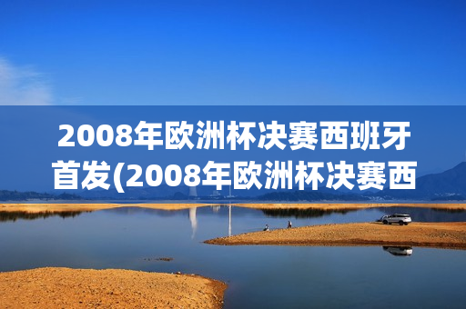 2008年欧洲杯决赛西班牙首发(2008年欧洲杯决赛西班牙首发阵容)