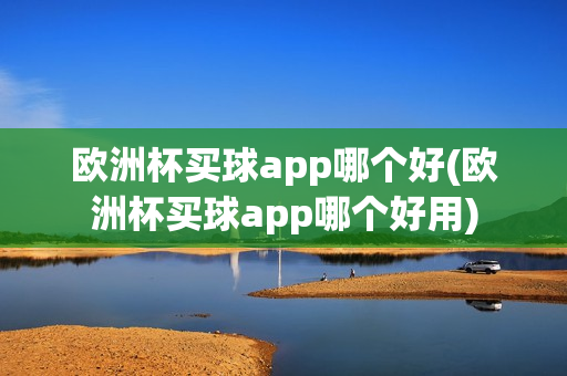 欧洲杯买球app哪个好(欧洲杯买球app哪个好用)