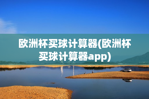 欧洲杯买球计算器(欧洲杯买球计算器app)