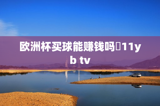 欧洲杯买球能赚钱吗尙11yb tv