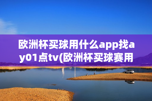 欧洲杯买球用什么app找ay01点tv(欧洲杯买球赛用什么app球址汇)