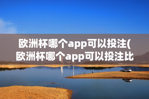 欧洲杯哪个app可以投注(欧洲杯哪个app可以投注比赛)