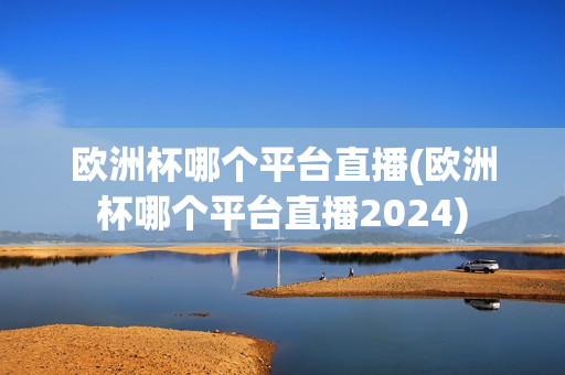 欧洲杯哪个平台直播(欧洲杯哪个平台直播2024)