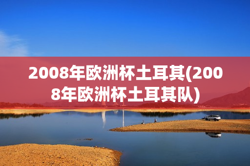 2008年欧洲杯土耳其(2008年欧洲杯土耳其队)