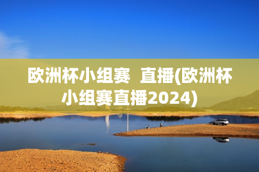 欧洲杯小组赛  直播(欧洲杯小组赛直播2024)