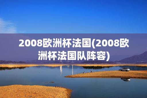 2008欧洲杯法国(2008欧洲杯法国队阵容)