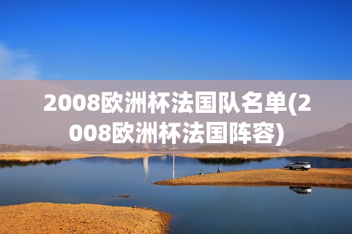 2008欧洲杯法国队名单(2008欧洲杯法国阵容)