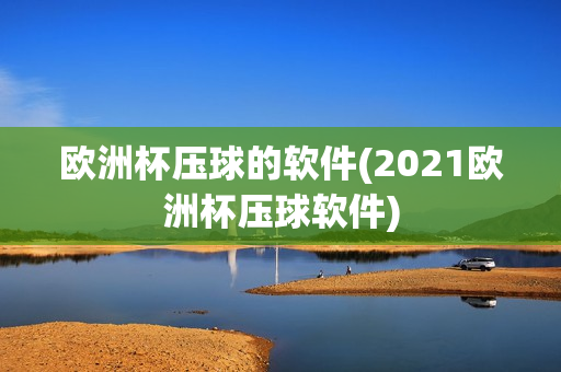 欧洲杯压球的软件(2021欧洲杯压球软件)