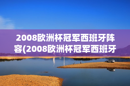 2008欧洲杯冠军西班牙阵容(2008欧洲杯冠军西班牙阵容是谁)