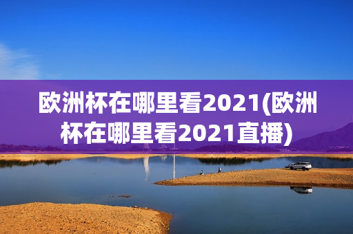 欧洲杯在哪里看2021(欧洲杯在哪里看2021直播)