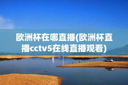 欧洲杯在哪直播(欧洲杯直播cctv5在线直播观看)