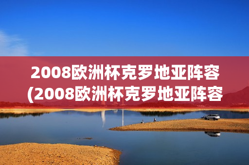 2008欧洲杯克罗地亚阵容(2008欧洲杯克罗地亚阵容图)