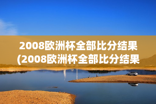 2008欧洲杯全部比分结果(2008欧洲杯全部比分结果查询)