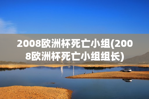 2008欧洲杯死亡小组(2008欧洲杯死亡小组组长)