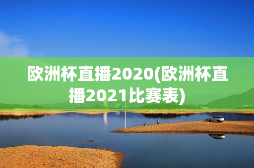 欧洲杯直播2020(欧洲杯直播2021比赛表)