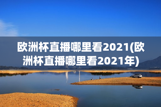 欧洲杯直播哪里看2021(欧洲杯直播哪里看2021年)