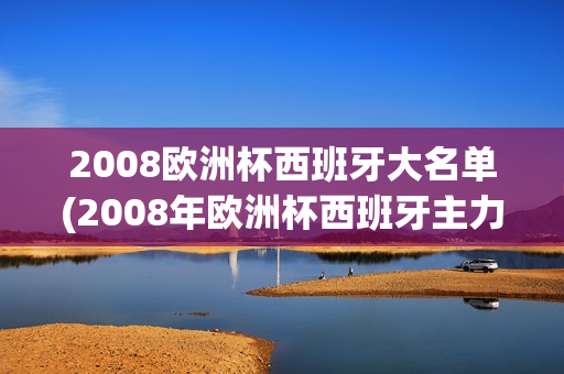 2008欧洲杯西班牙大名单(2008年欧洲杯西班牙主力阵容)