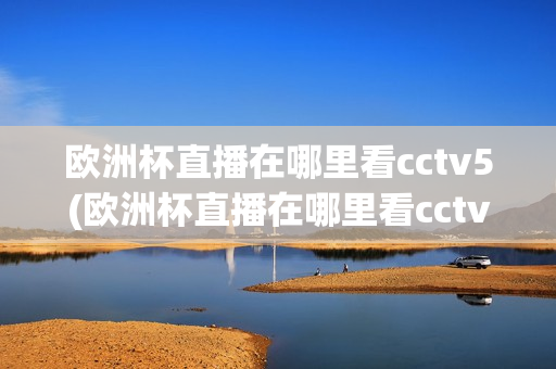 欧洲杯直播在哪里看cctv5(欧洲杯直播在哪里看cctv5直播)