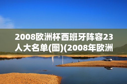 2008欧洲杯西班牙阵容23人大名单(图)(2008年欧洲杯西班牙主力阵容)