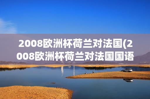 2008欧洲杯荷兰对法国(2008欧洲杯荷兰对法国国语)