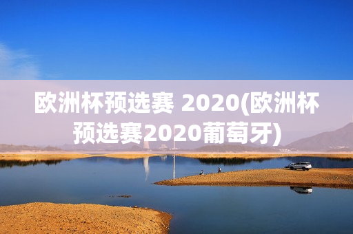 欧洲杯预选赛 2020(欧洲杯预选赛2020葡萄牙)