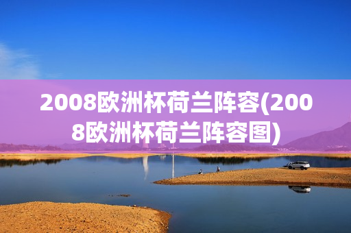 2008欧洲杯荷兰阵容(2008欧洲杯荷兰阵容图)