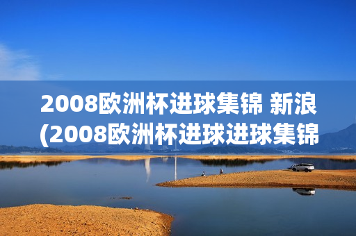 2008欧洲杯进球集锦 新浪(2008欧洲杯进球进球集锦)