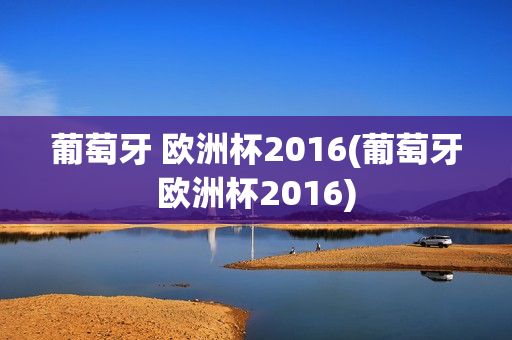 葡萄牙 欧洲杯2016(葡萄牙欧洲杯2016)