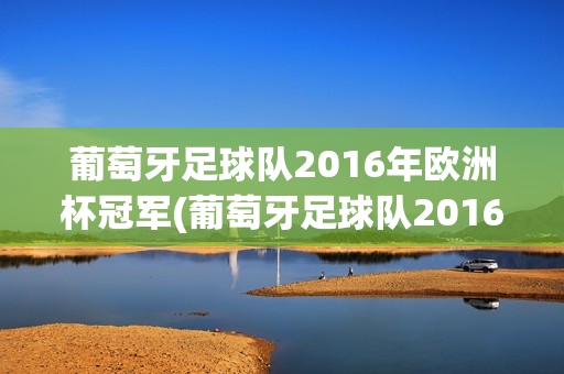 葡萄牙足球队2016年欧洲杯冠军(葡萄牙足球队2016年欧洲杯冠军是谁)