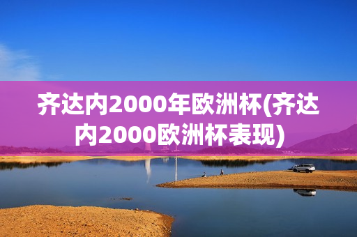 齐达内2000年欧洲杯(齐达内2000欧洲杯表现)