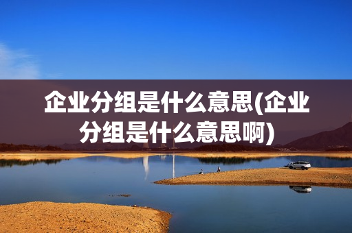 企业分组是什么意思(企业分组是什么意思啊)