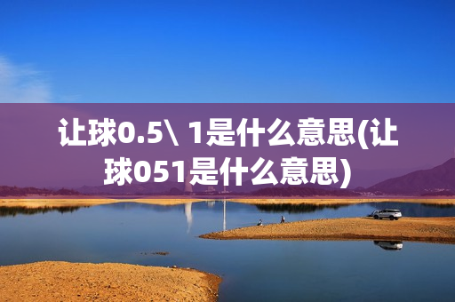 让球0.5\ 1是什么意思(让球051是什么意思)