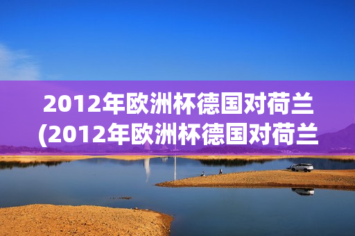 2012年欧洲杯德国对荷兰(2012年欧洲杯德国对荷兰比分)