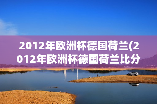 2012年欧洲杯德国荷兰(2012年欧洲杯德国荷兰比分)