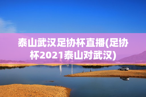 泰山武汉足协杯直播(足协杯2021泰山对武汉)