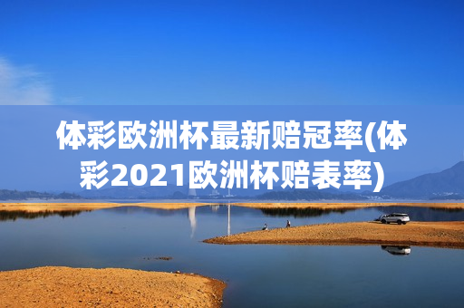 体彩欧洲杯最新赔冠率(体彩2021欧洲杯赔表率)