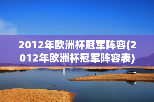 2012年欧洲杯冠军阵容(2012年欧洲杯冠军阵容表)