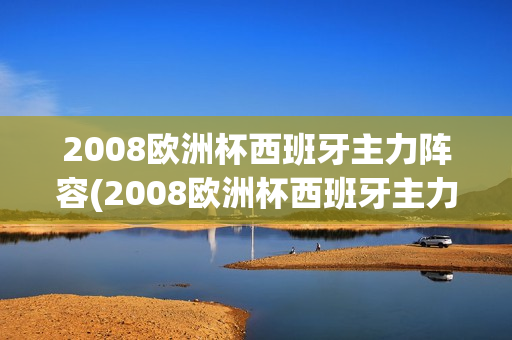 2008欧洲杯西班牙主力阵容(2008欧洲杯西班牙主力阵容身高体重)