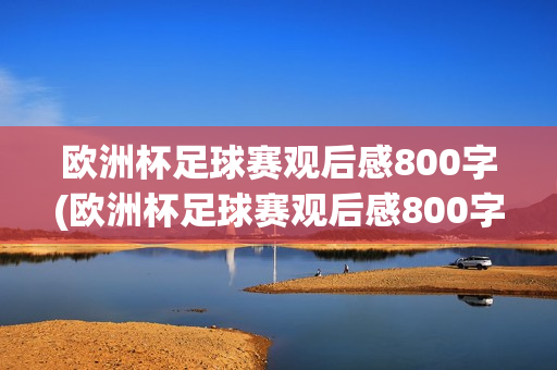 欧洲杯足球赛观后感800字(欧洲杯足球赛观后感800字作文)