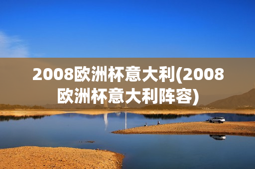 2008欧洲杯意大利(2008欧洲杯意大利阵容)