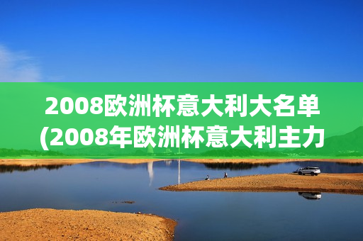 2008欧洲杯意大利大名单(2008年欧洲杯意大利主力阵容)