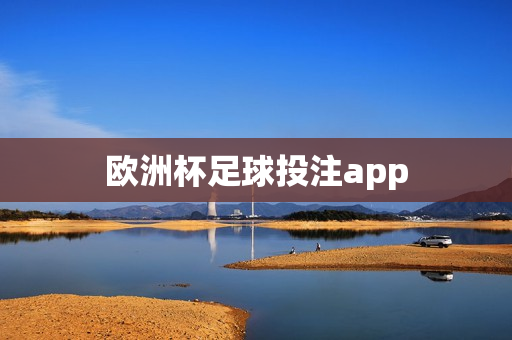 欧洲杯足球投注app