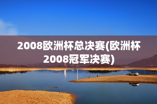 2008欧洲杯总决赛(欧洲杯2008冠军决赛)